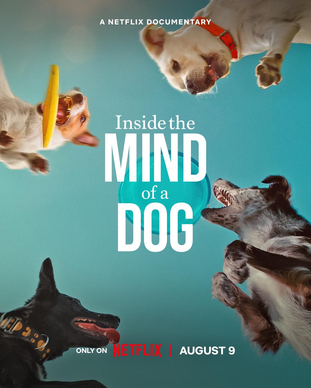 Inside The Mind Of A Dog HD Hindidub